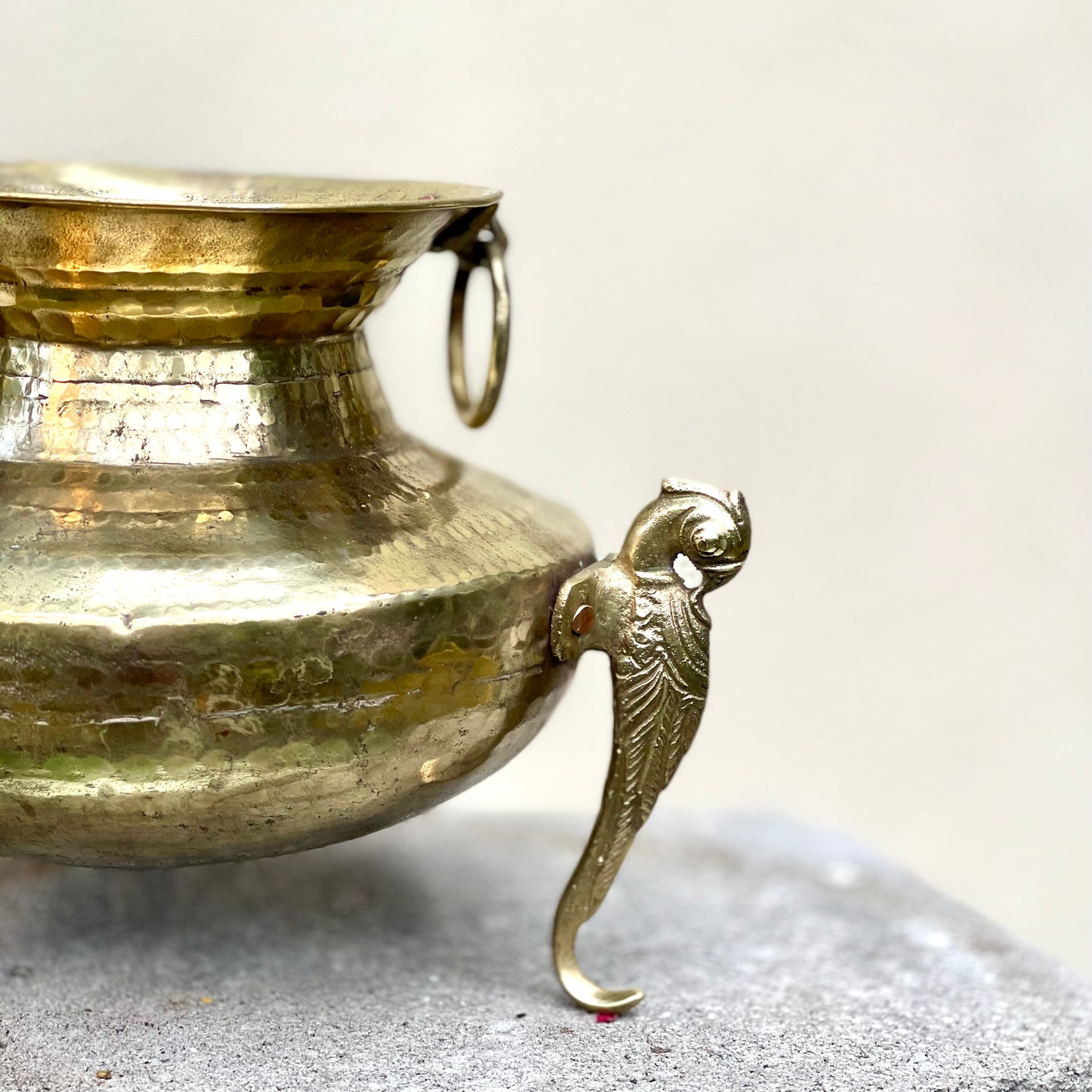 ‘Lavanya’ Pot
