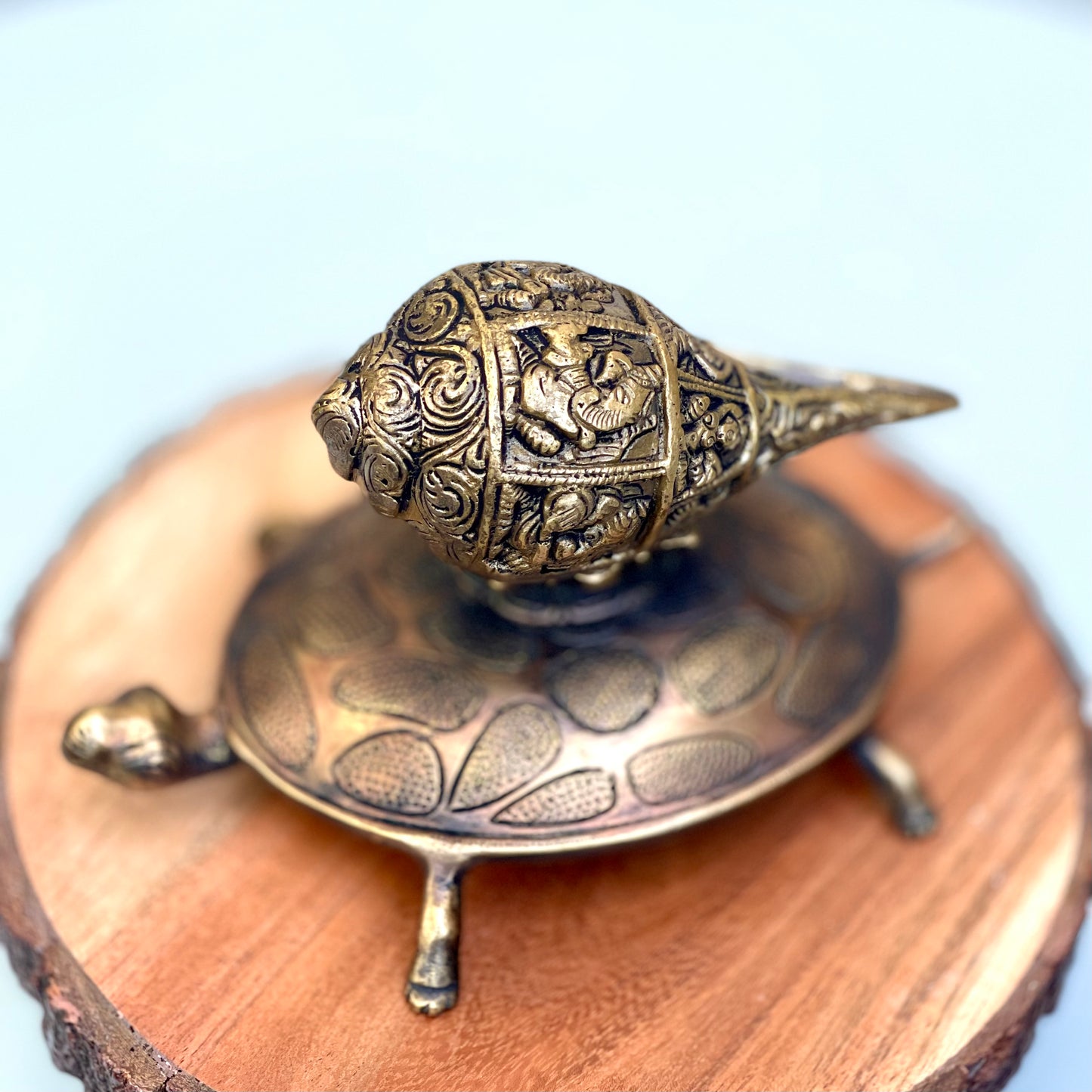 Kala Gurjari Shankha