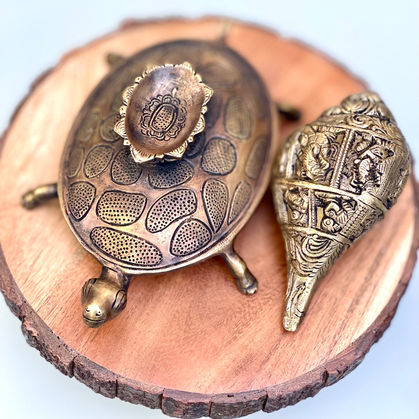 Kala Gurjari Shankha