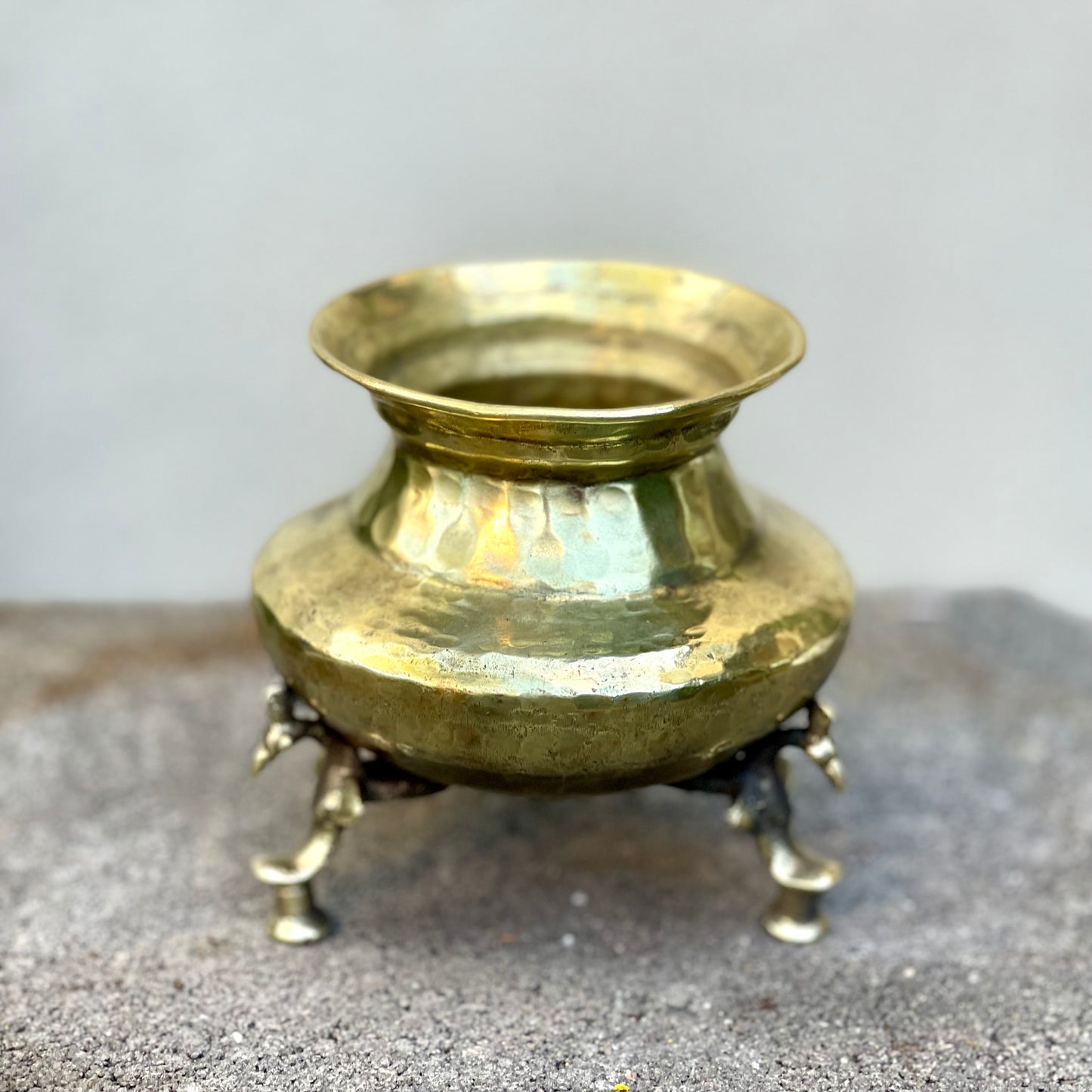 ‘Kamal’ Pot
