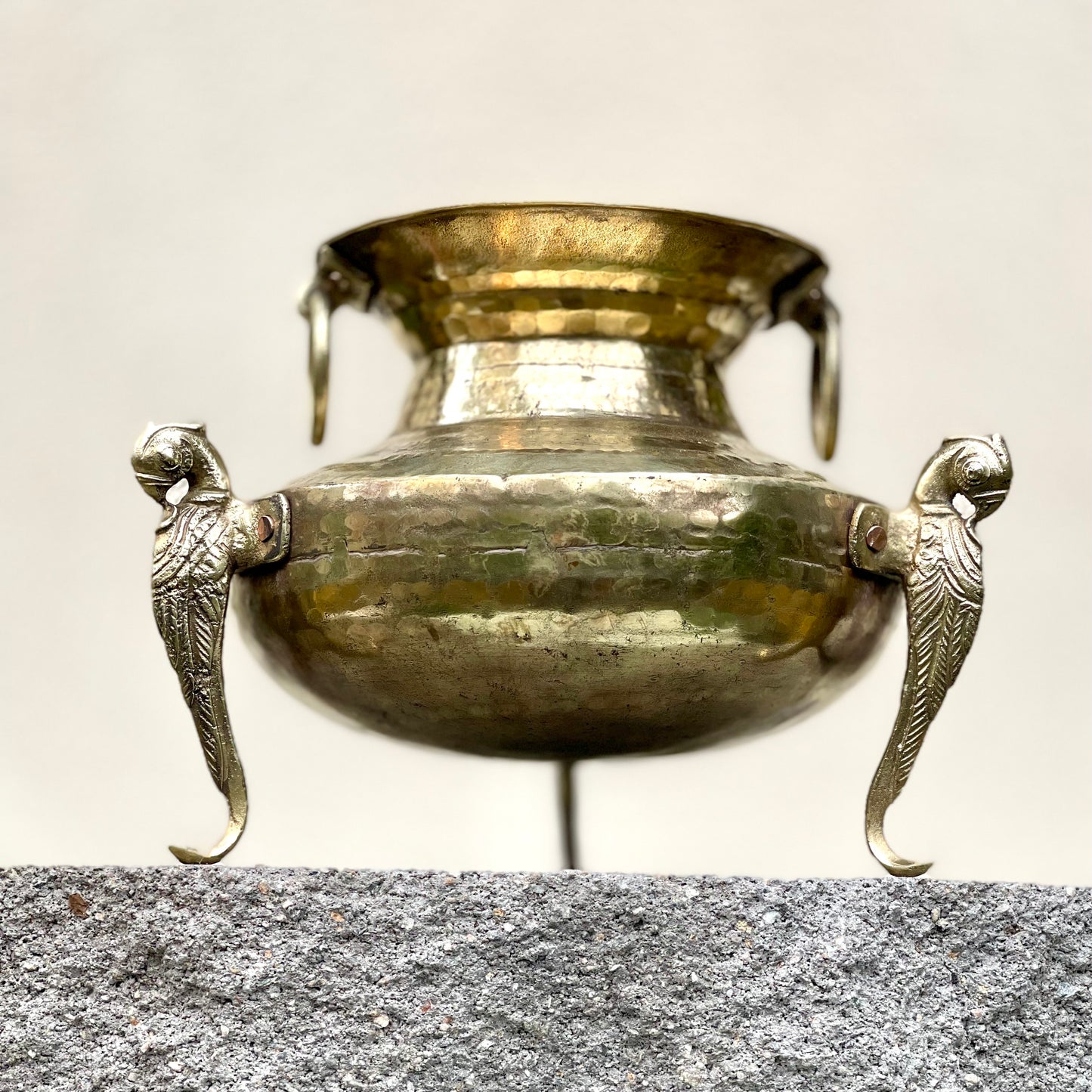 ‘Lavanya’ Pot
