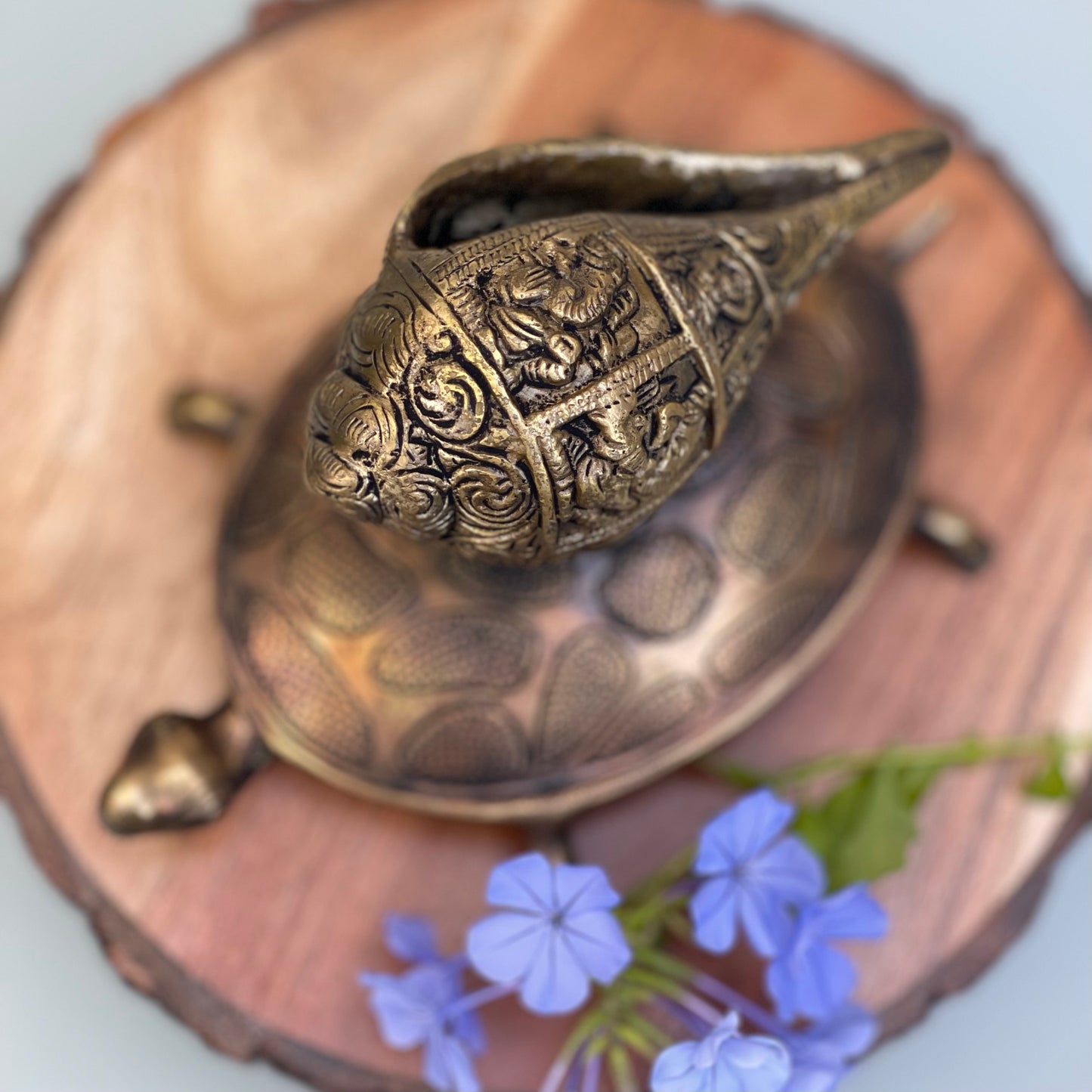 Kala Gurjari Shankha