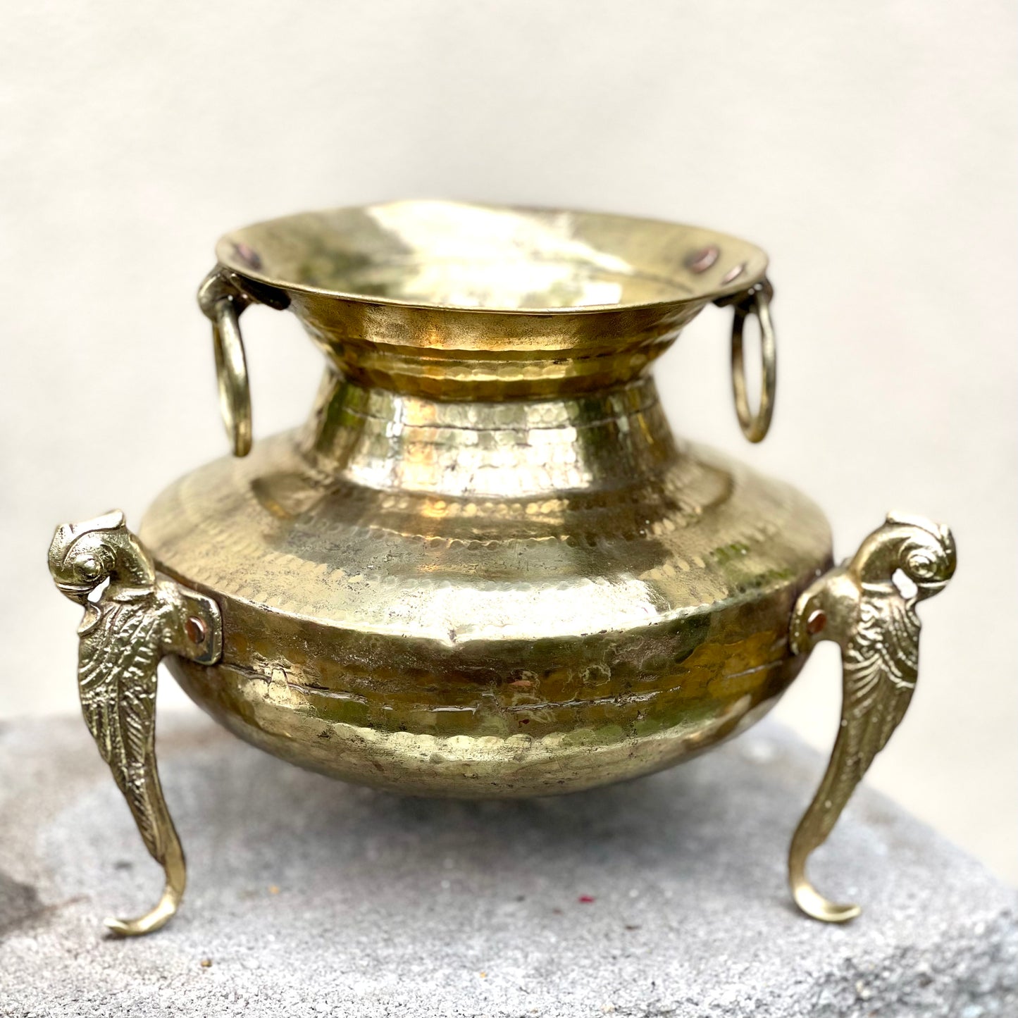 ‘Lavanya’ Pot