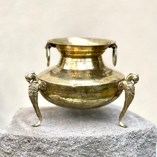 ‘Lavanya’ Pot