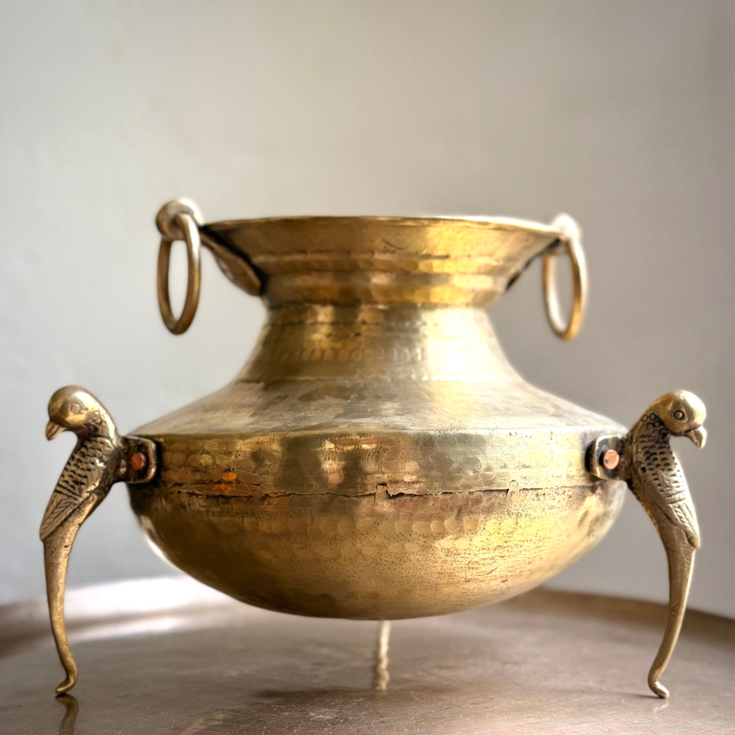 ‘Lavanya’ Pot