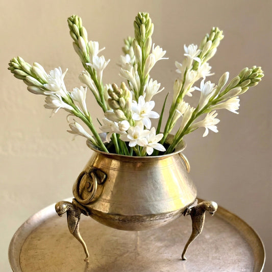 ‘Hiranya’ Pot