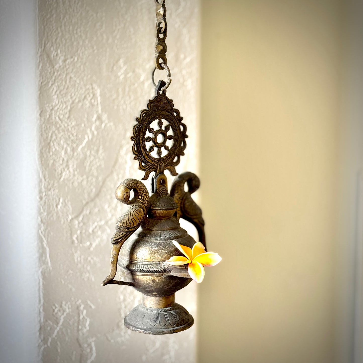Vintage Twin Parrot Hanging Lamp
