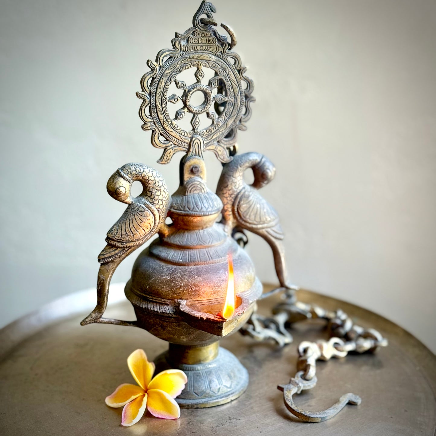 Vintage Twin Parrot Hanging Lamp
