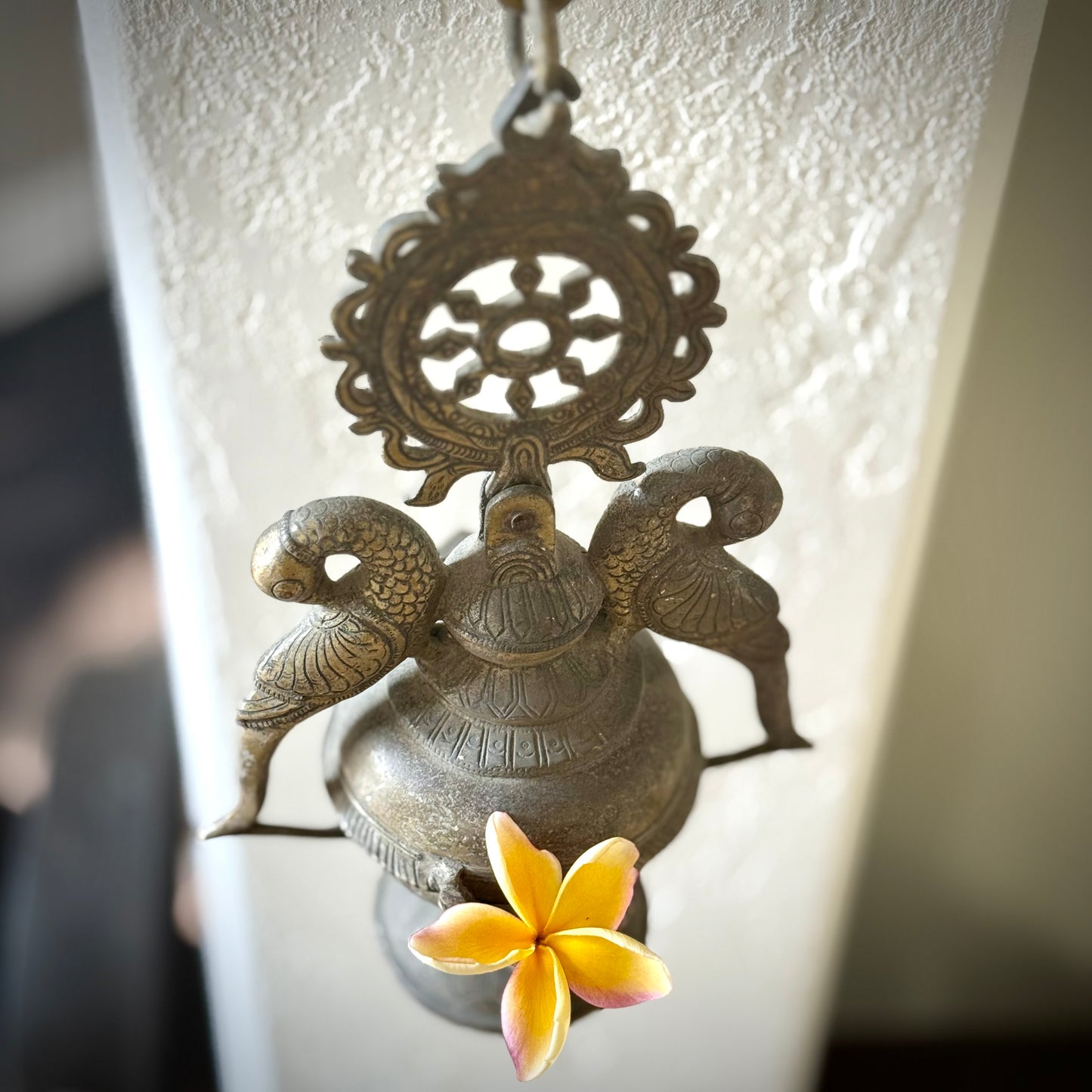 Vintage Twin Parrot Hanging Lamp