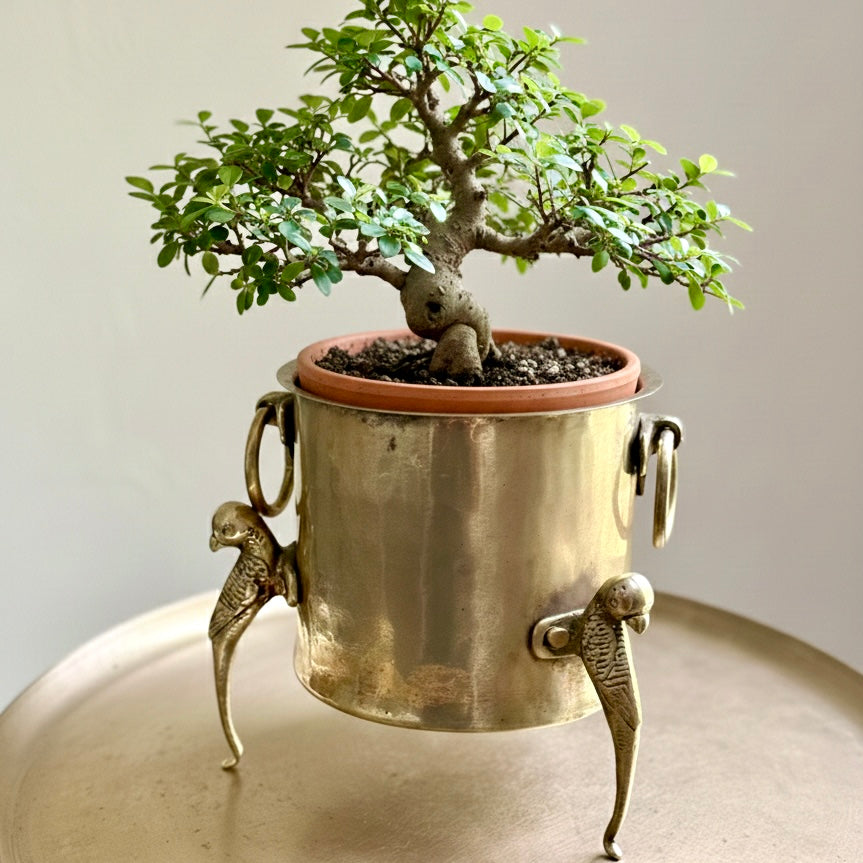 Vintage Brass Planter
