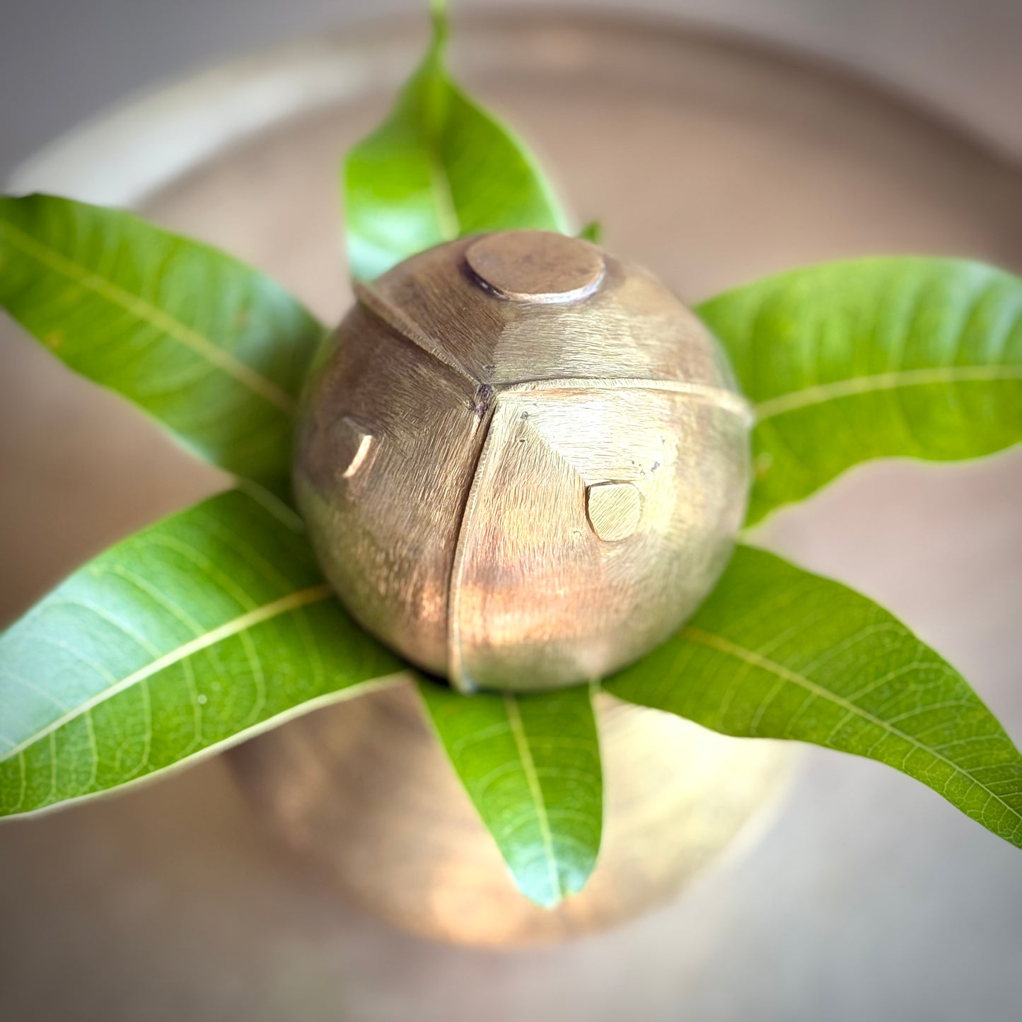 Vintage Bronze Coconut