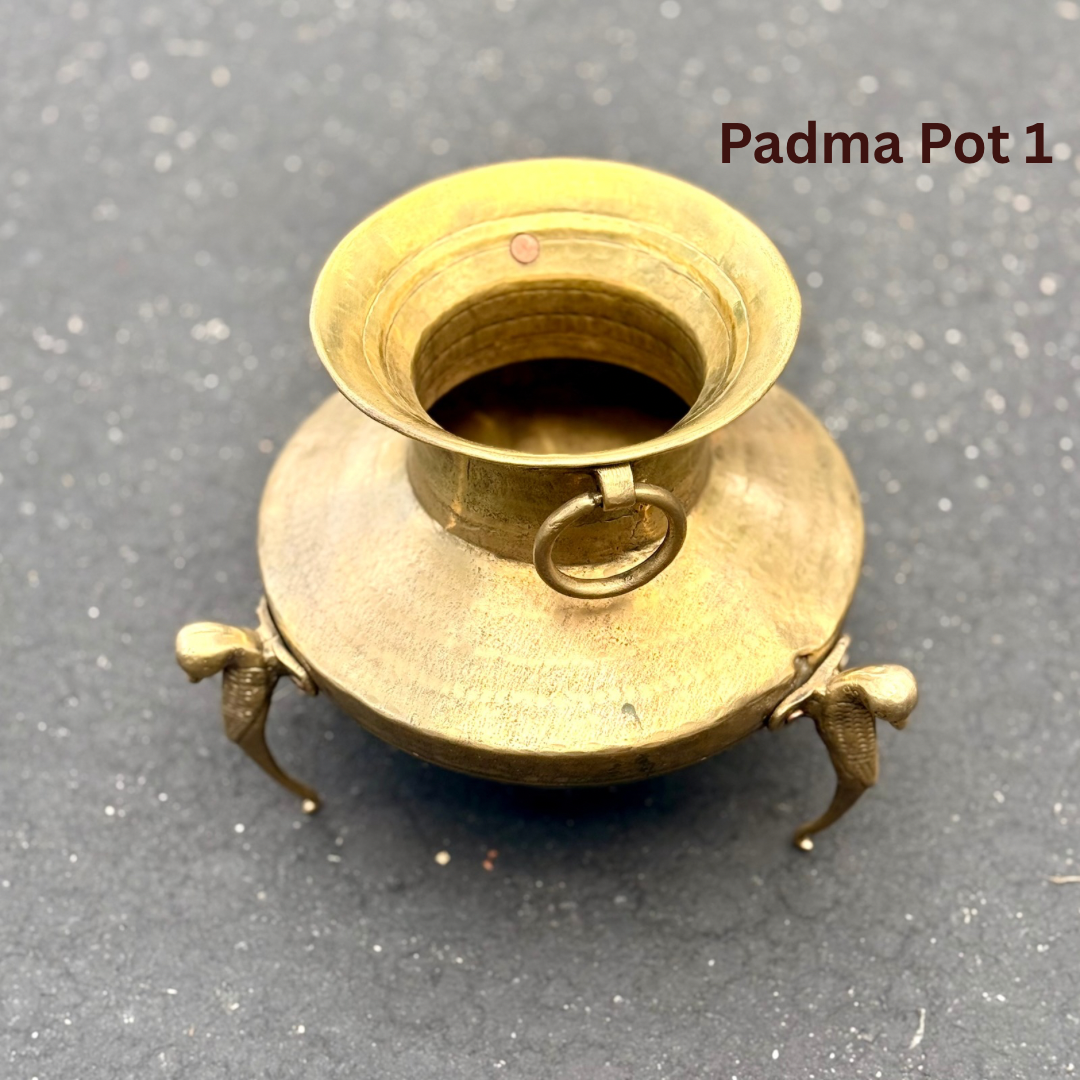 ‘Padma’ Pot