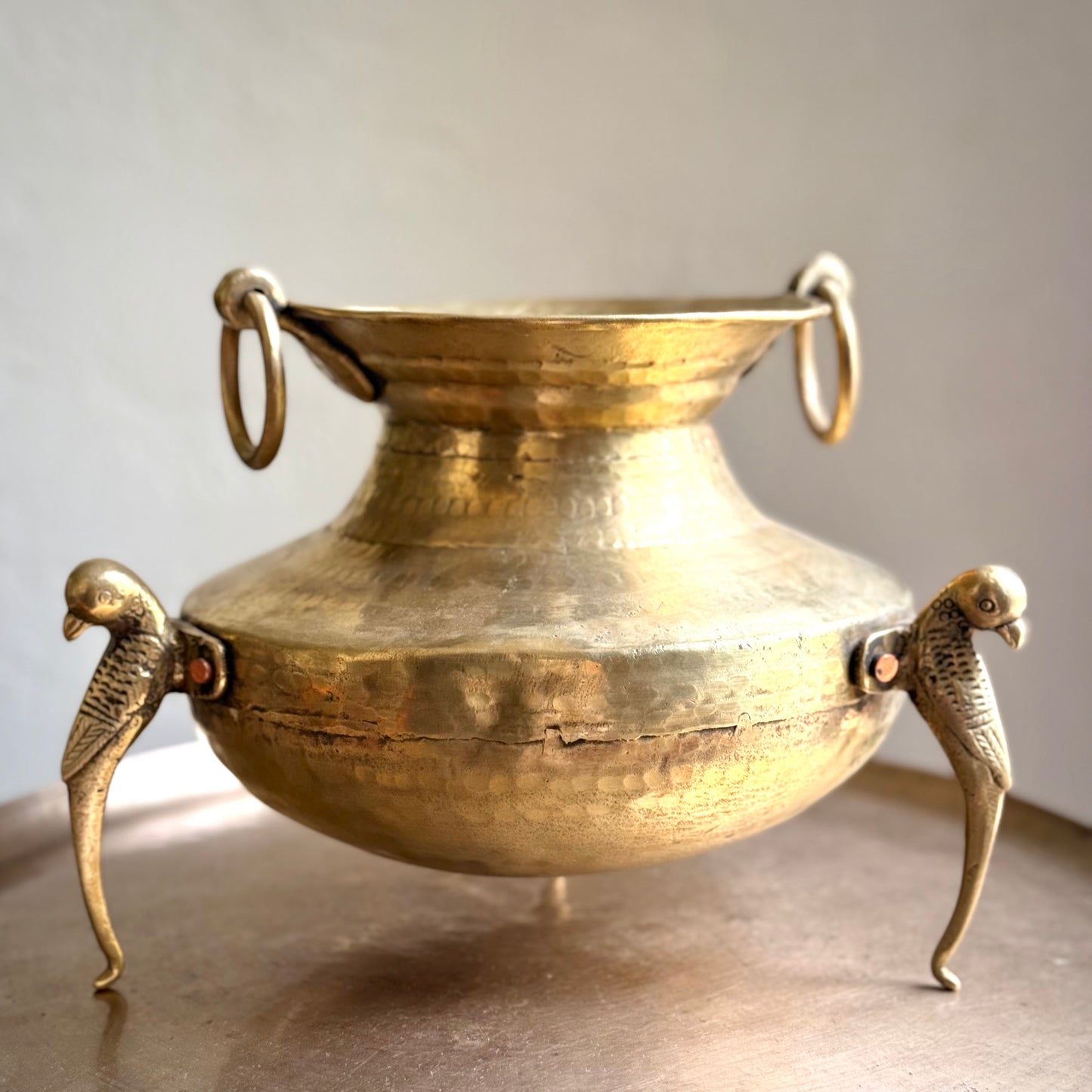 ‘Lavanya’ Pot