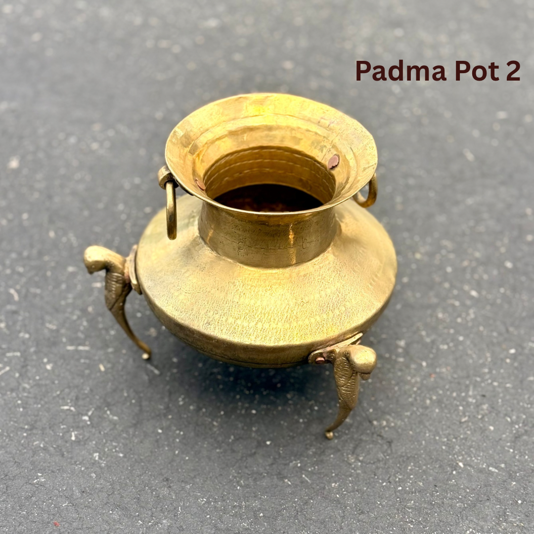 ‘Padma’ Pot