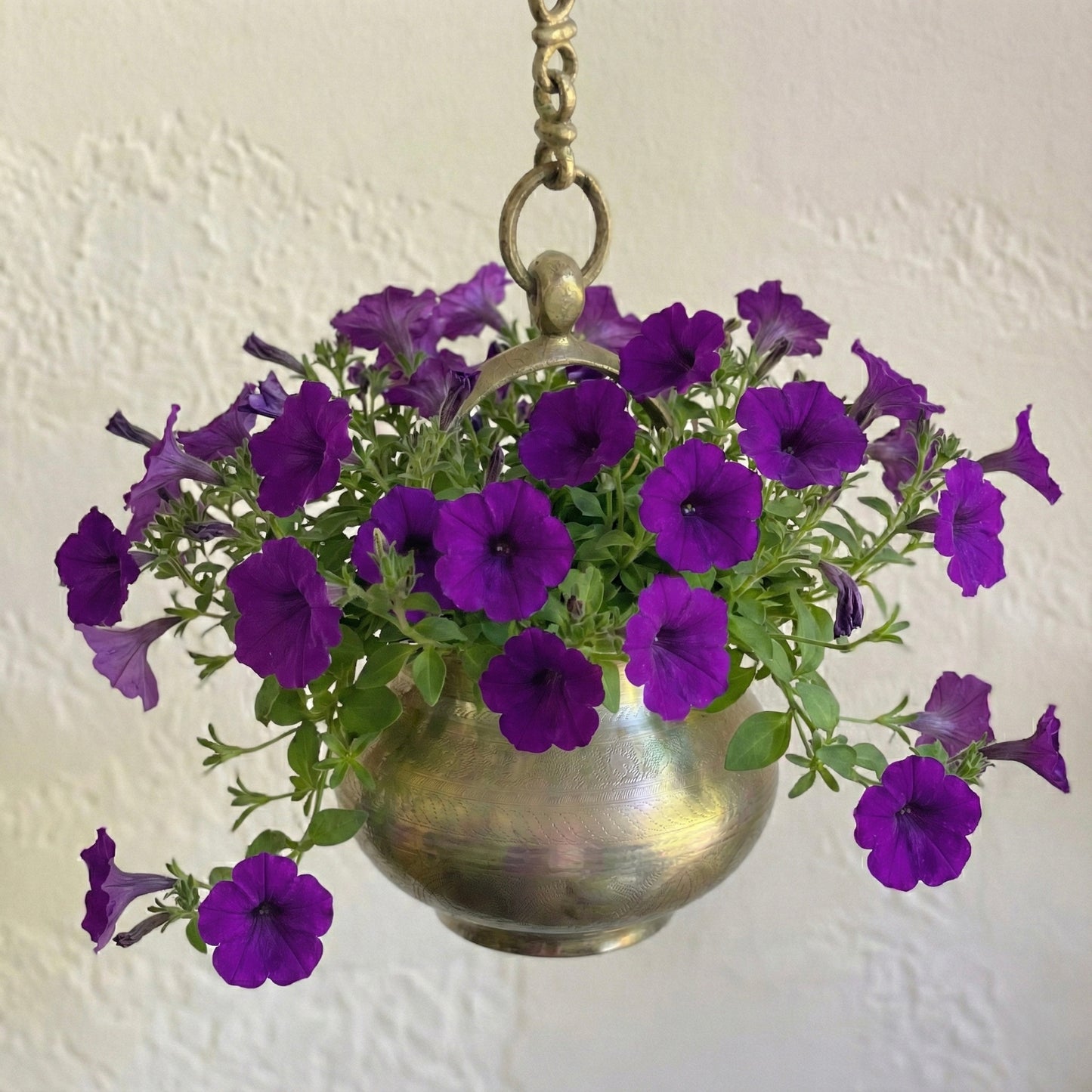 Vintage Brass Hanging Pot