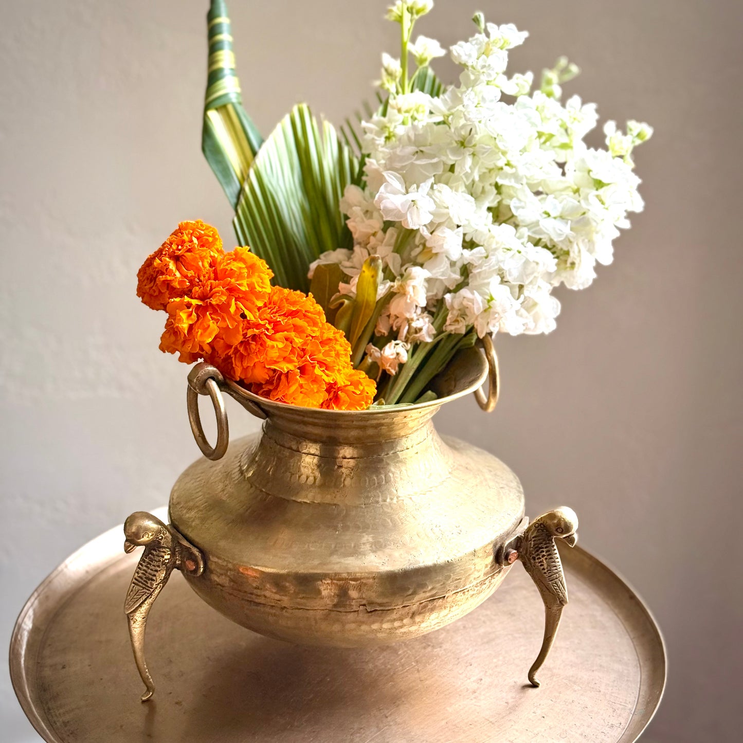 ‘Lavanya’ Pot