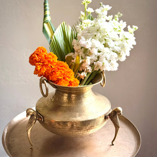 ‘Lavanya’ Pot