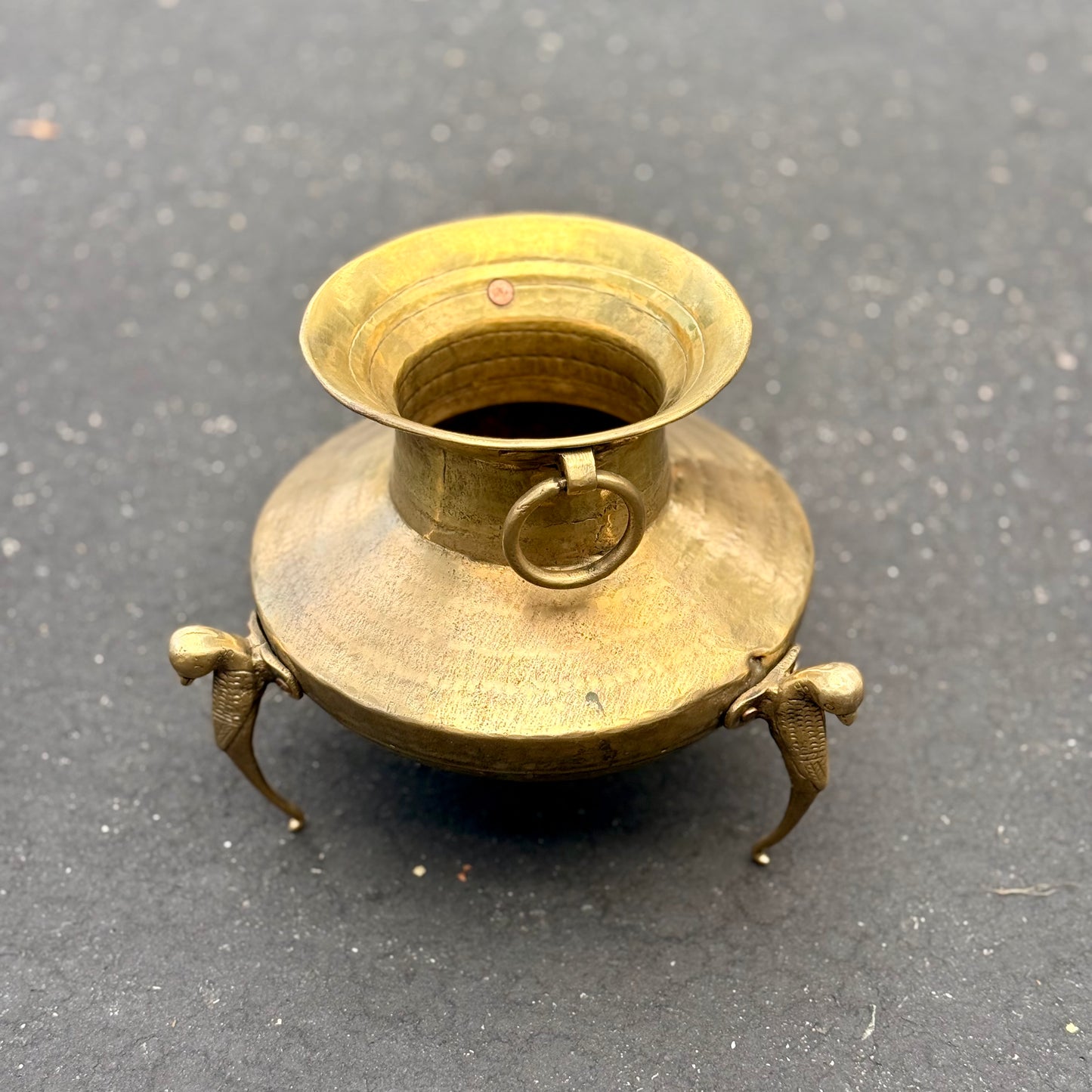 ‘Padma’ Pot