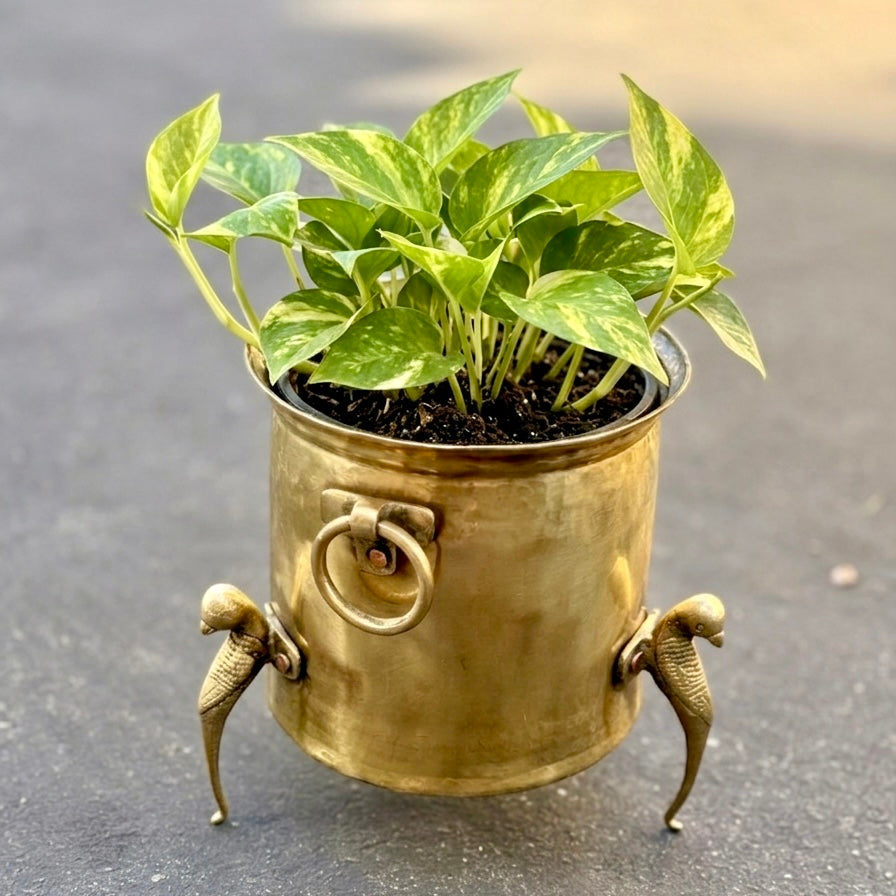 Vintage Brass Planter