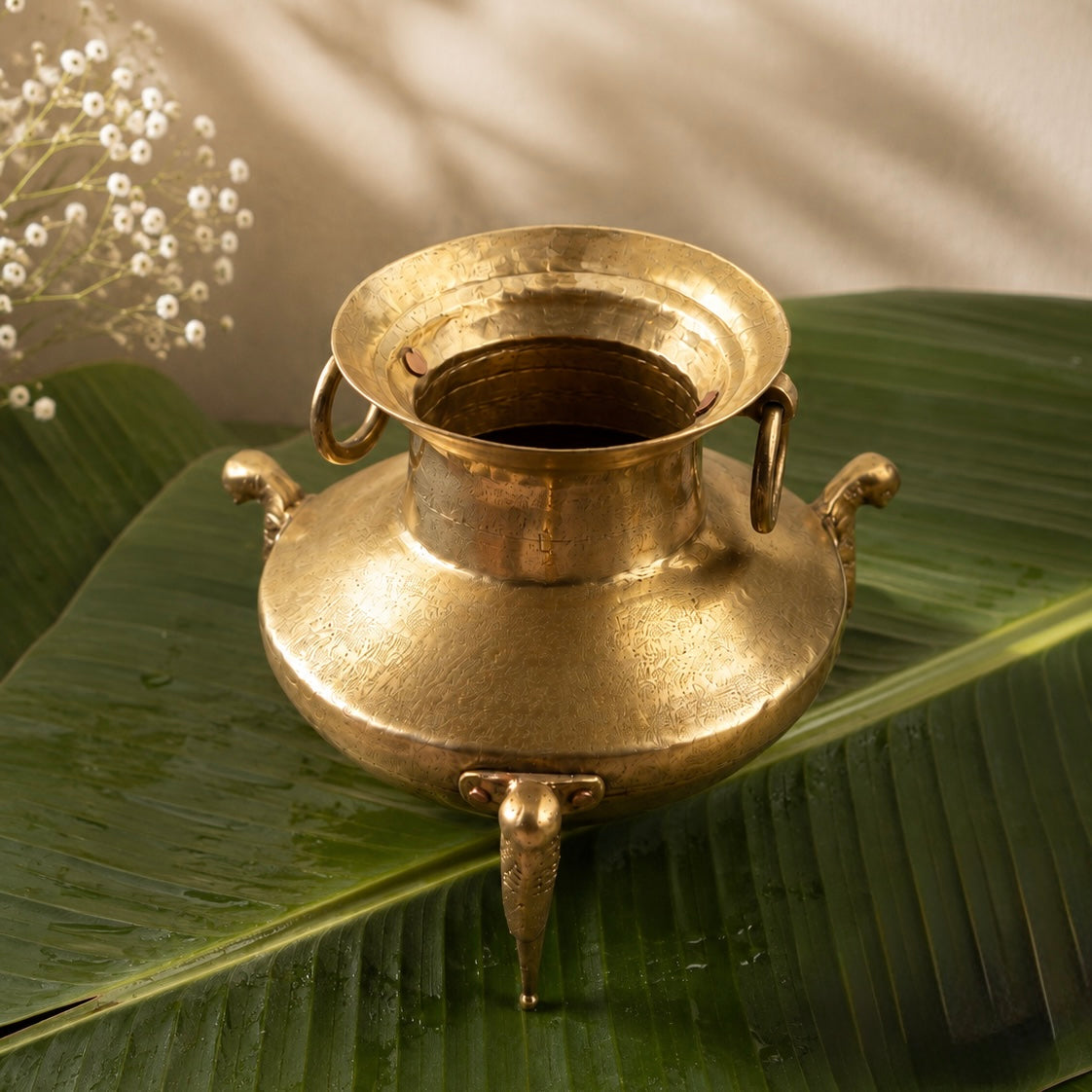 ‘Padma’ Pot